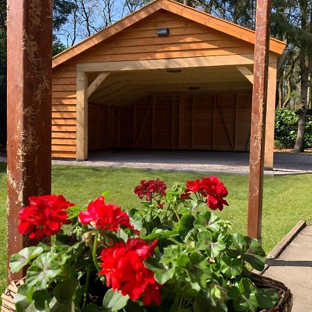 'T Holten Huus - Puur Genieten In Het Bos. Norg Exterior foto