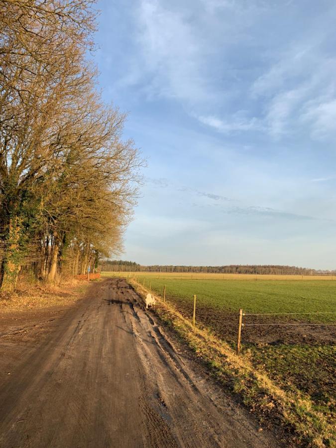 'T Holten Huus - Puur Genieten In Het Bos. Norg Exterior foto