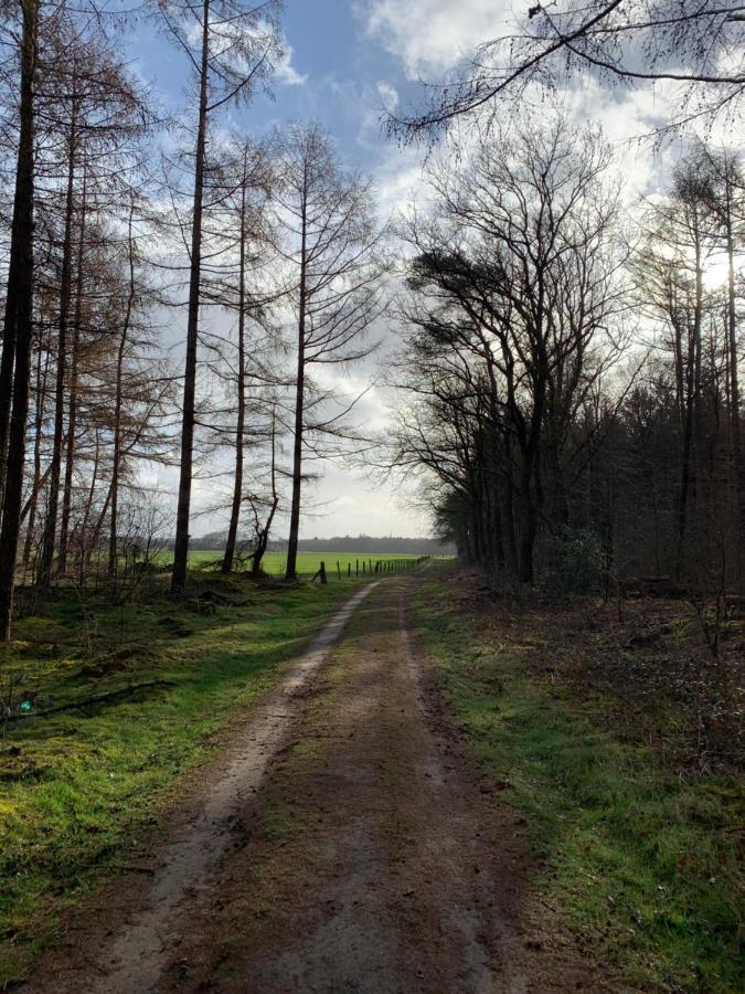 'T Holten Huus - Puur Genieten In Het Bos. Norg Exterior foto