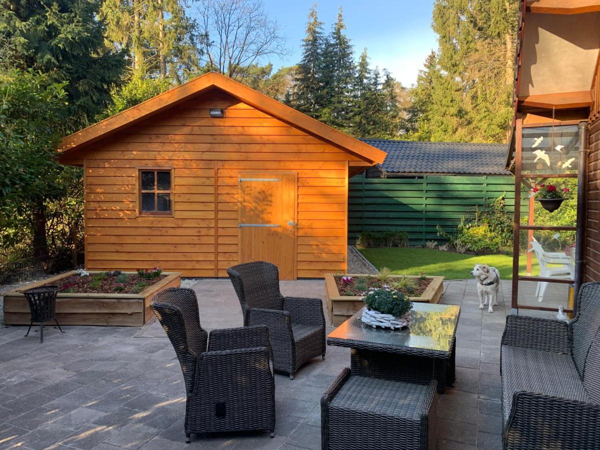 'T Holten Huus - Puur Genieten In Het Bos. Norg Exterior foto