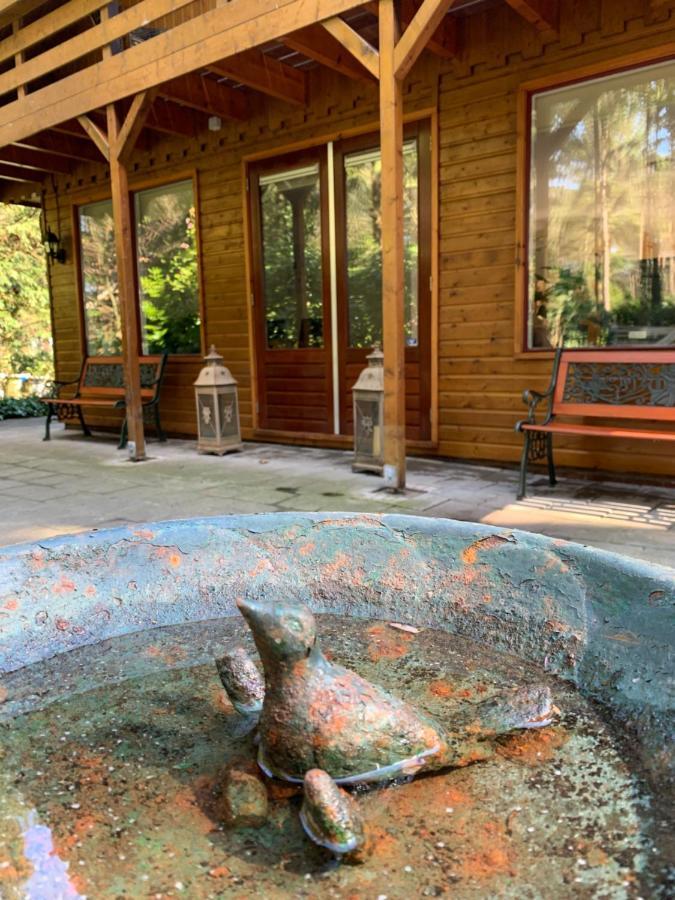 'T Holten Huus - Puur Genieten In Het Bos. Norg Exterior foto